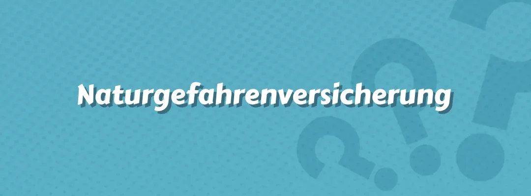 Naturgefahrenversicherung (z.B. Elementarversicherung)