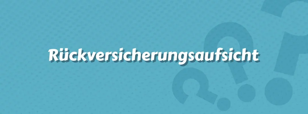 Rückversicherungsaufsicht