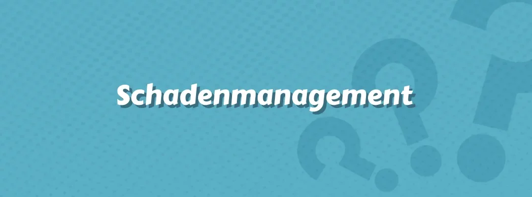 Schadenmanagement im Versicherungswesen