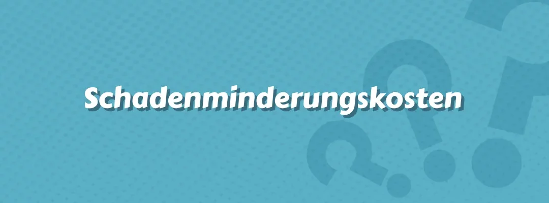 Schadenminderungskosten