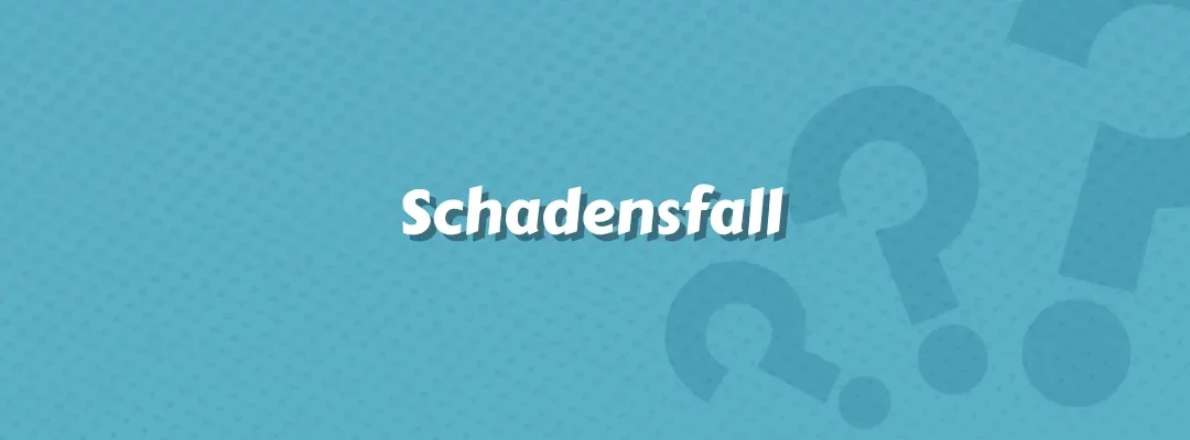 Schadensfall
