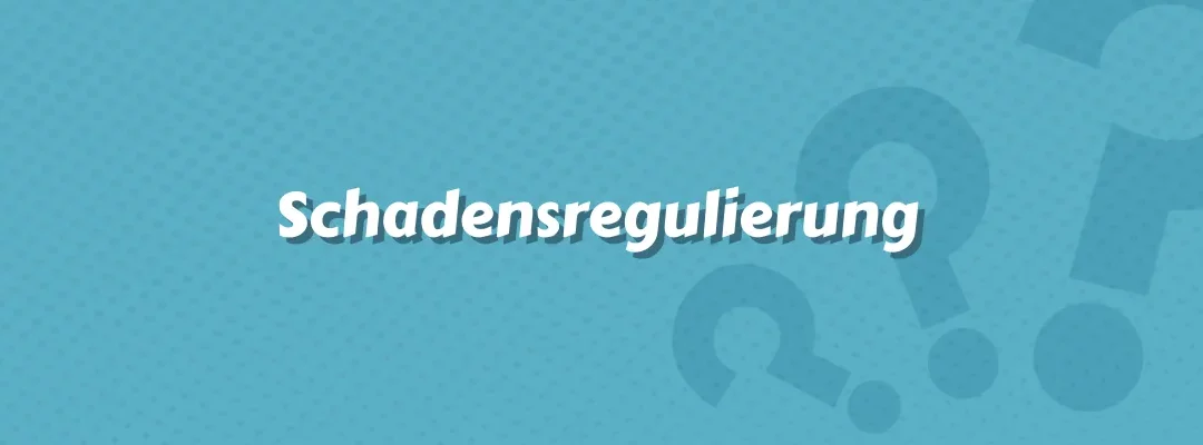 Schadensregulierung