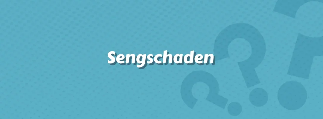 Sachschadenversicherung: Der Schutz bei Sengschäden