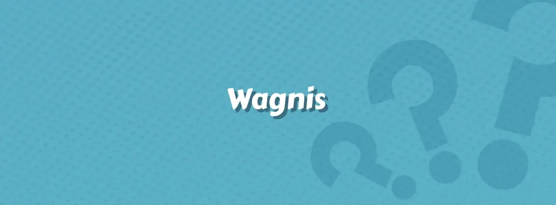 Wagnis im Versicherungswesen